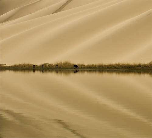 6686������������