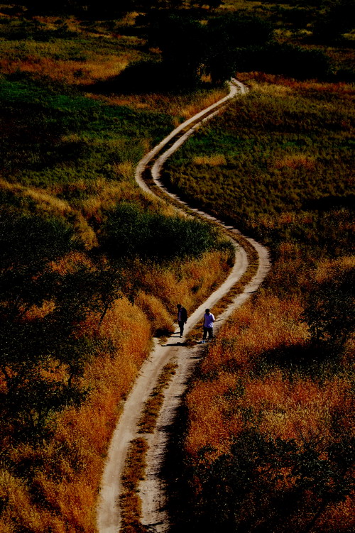 6686������������