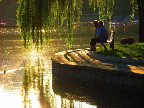 6686������������