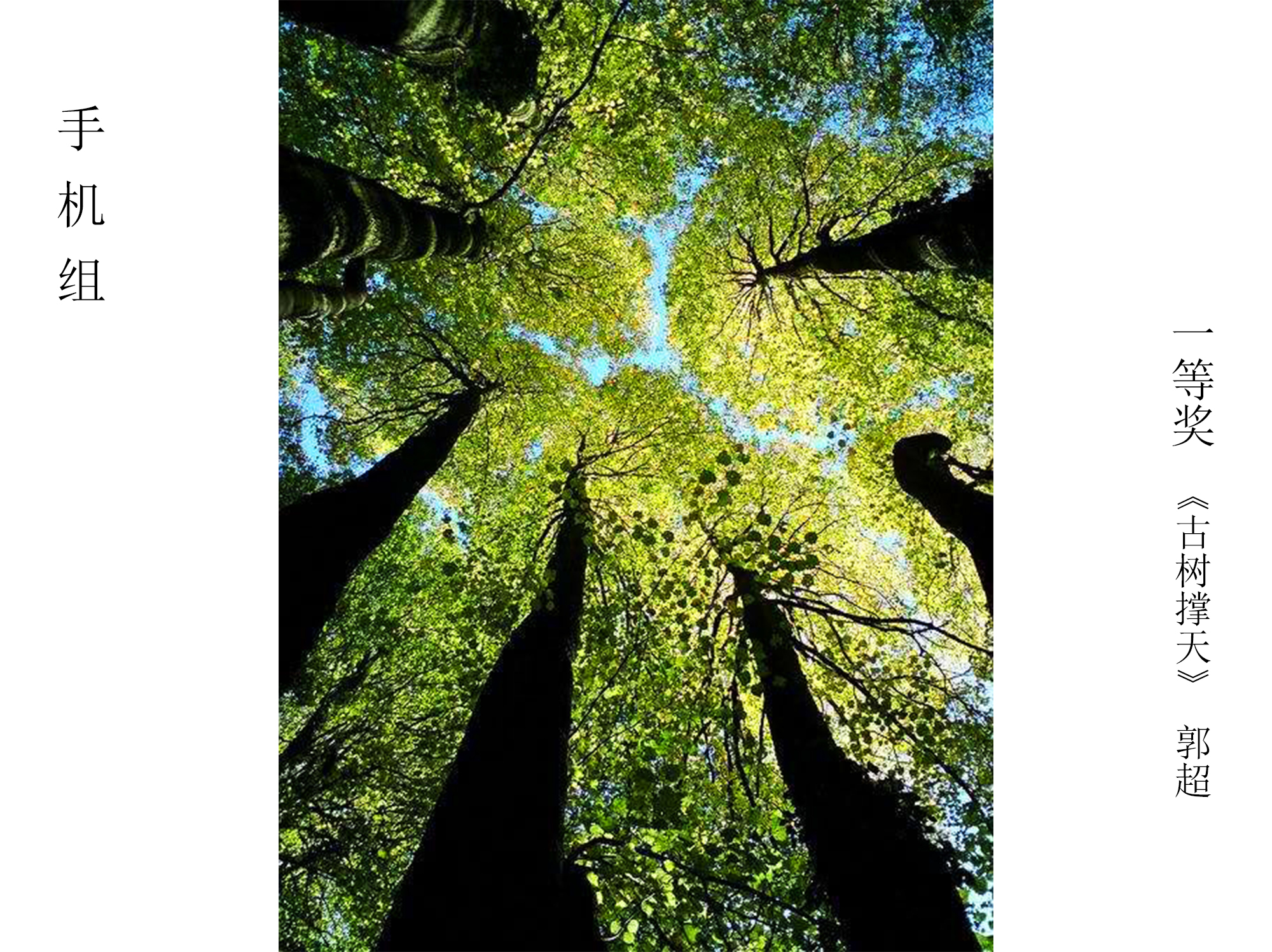 6686������������