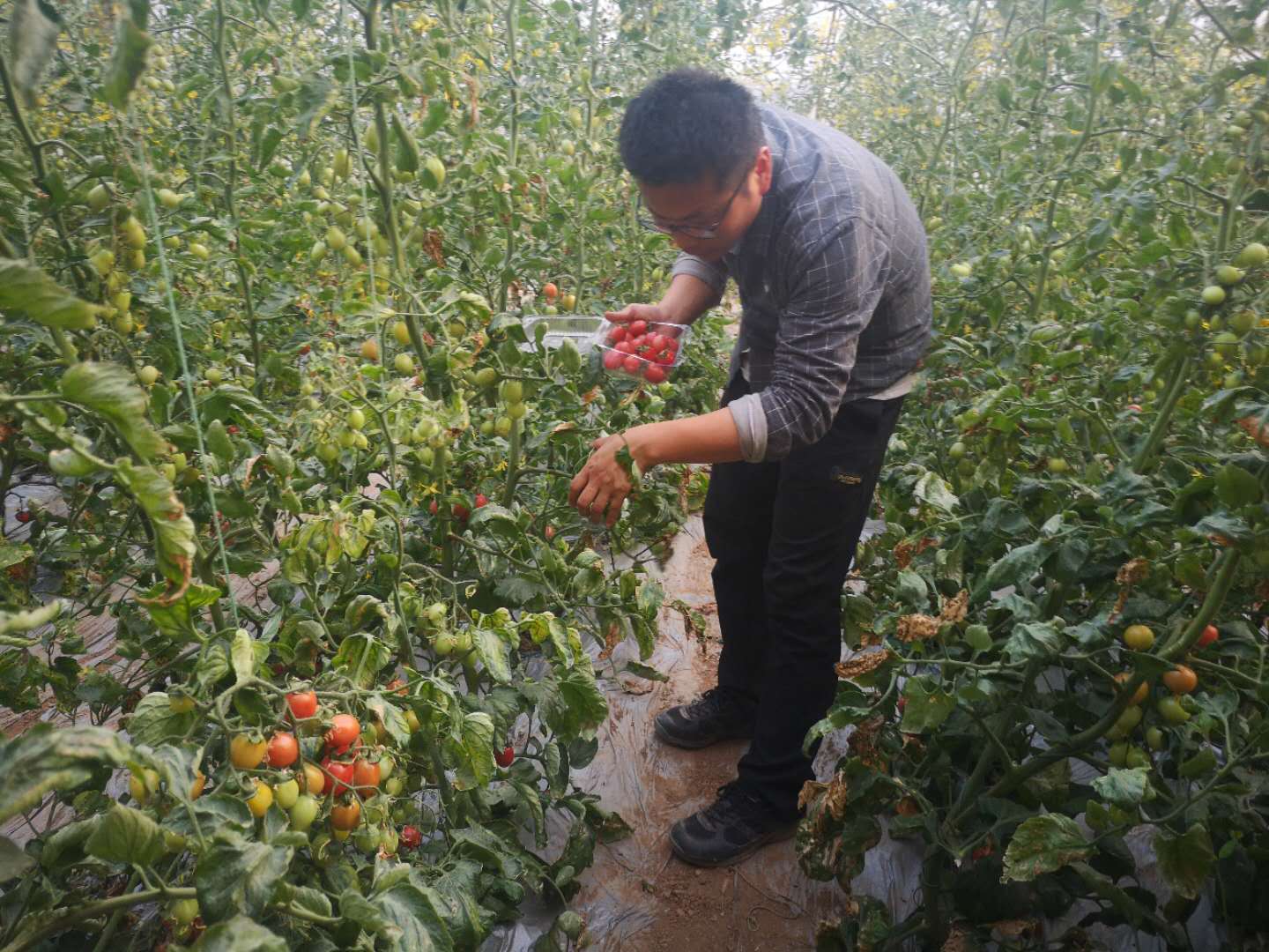 6686������������