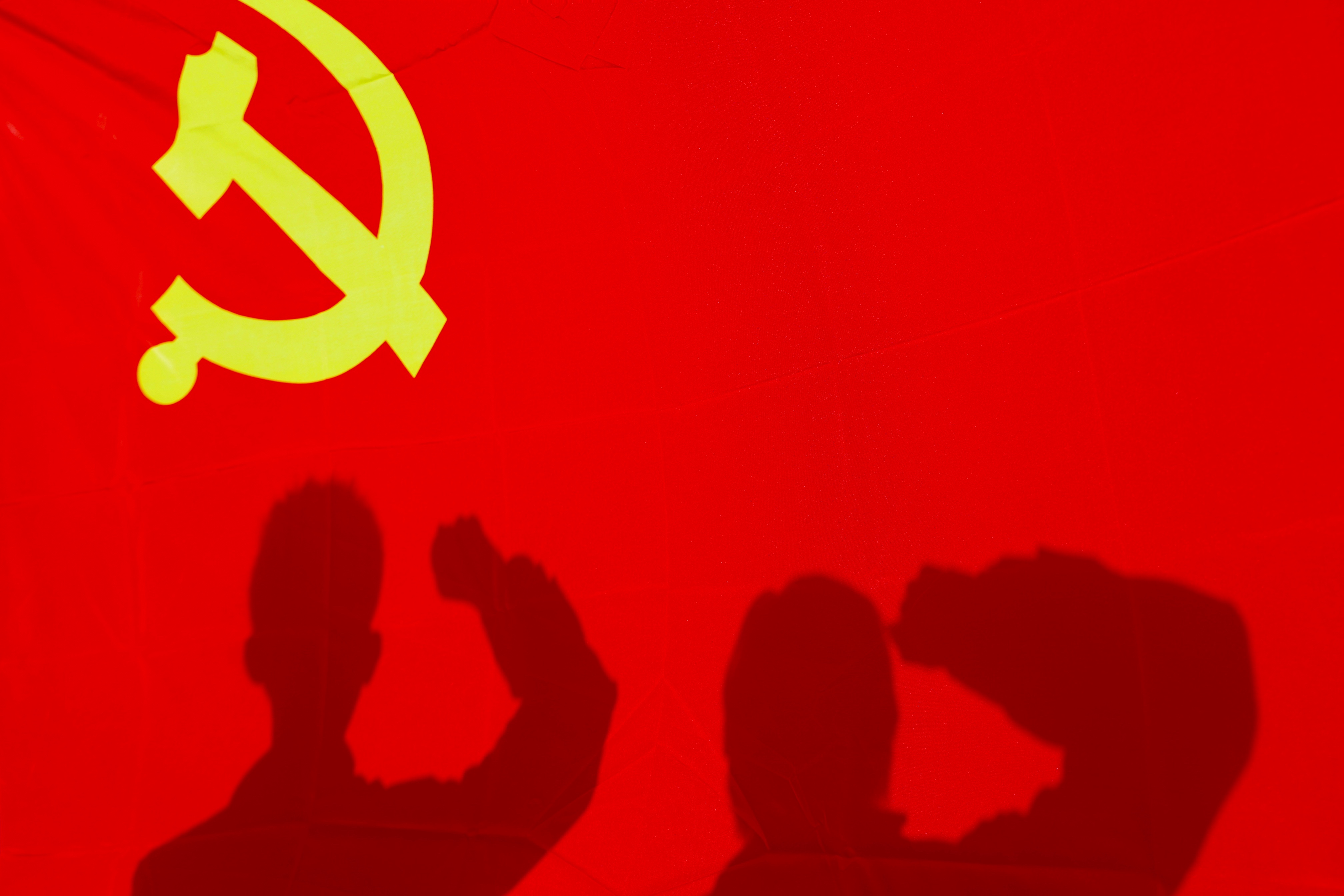 6686������������