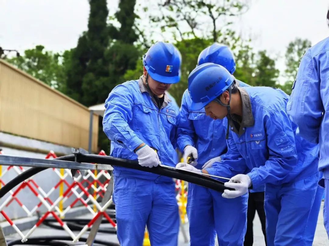 6686������������