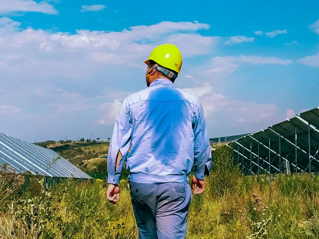 6686������������