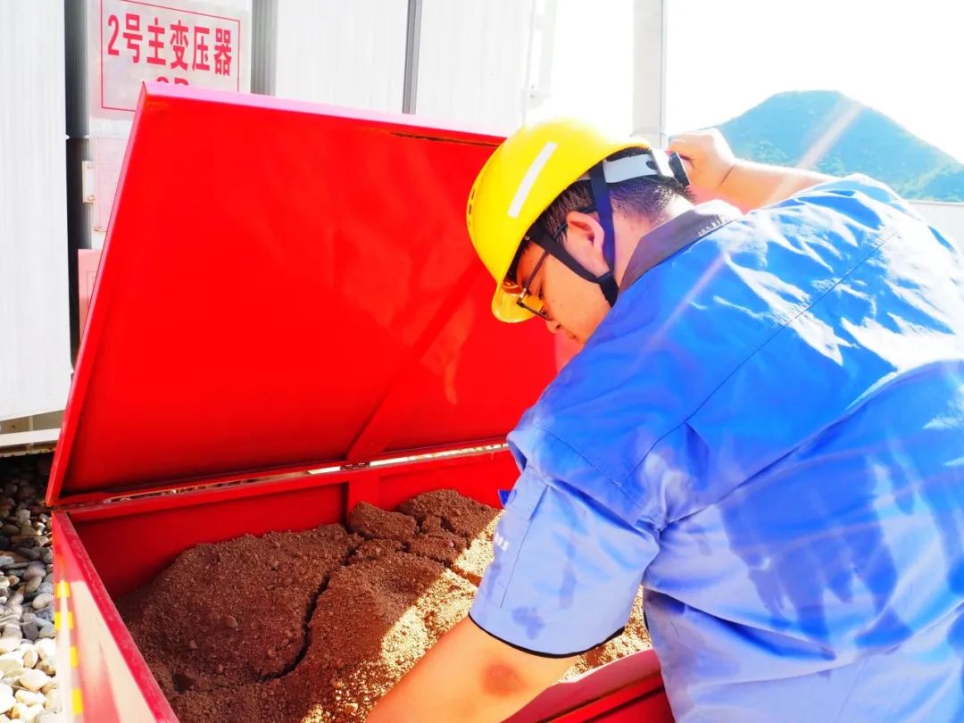 6686������������