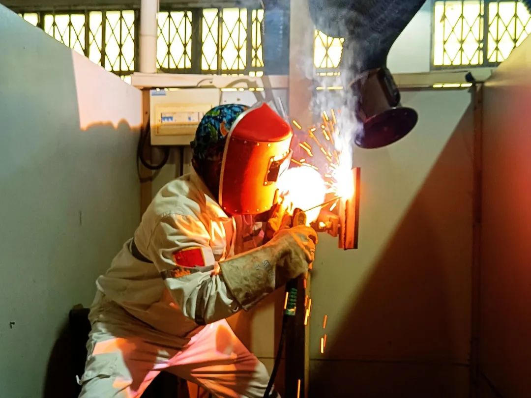 6686������������