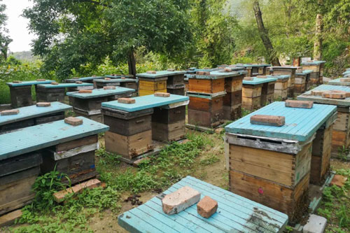 6686������������