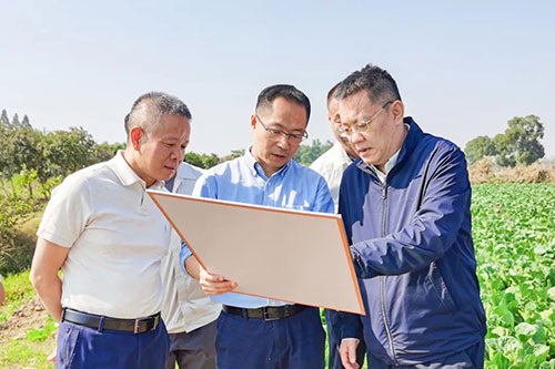 6686体育官网下载