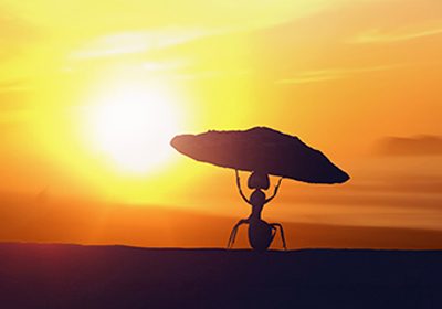 6686������������